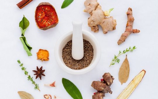 Facts You Need to Know About Traditional Chinese Medicine