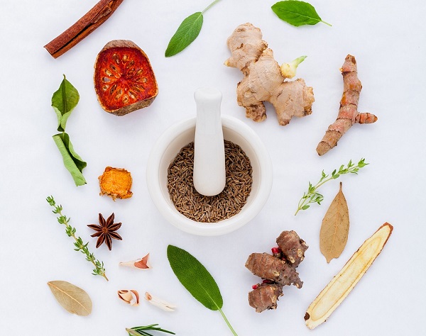 Facts You Need to Know About Traditional Chinese Medicine